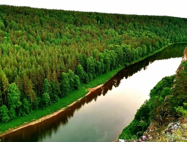 «Сделано природой»: подводим итоги фотоконкурса