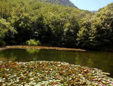 «Сделано природой»: подводим итоги фотоконкурса